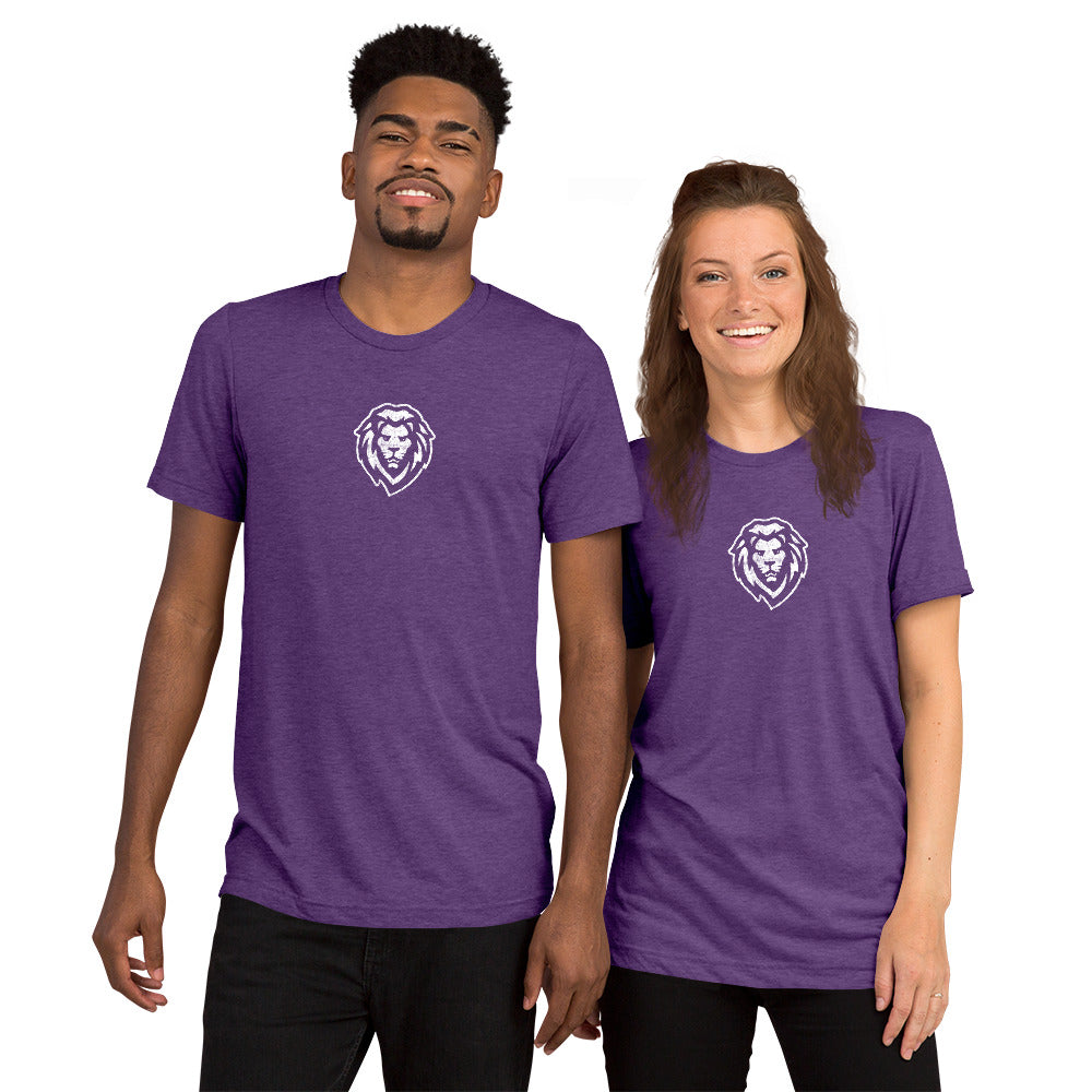 Unisex Tri-Blend T-Shirt / Bella + Canvas 3413